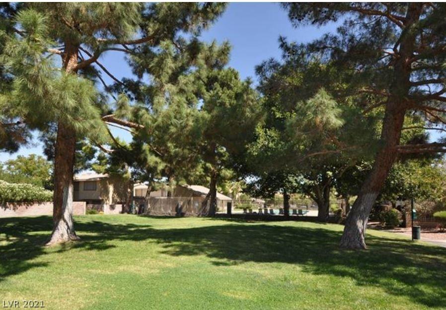 2217 Silver Pine Drive