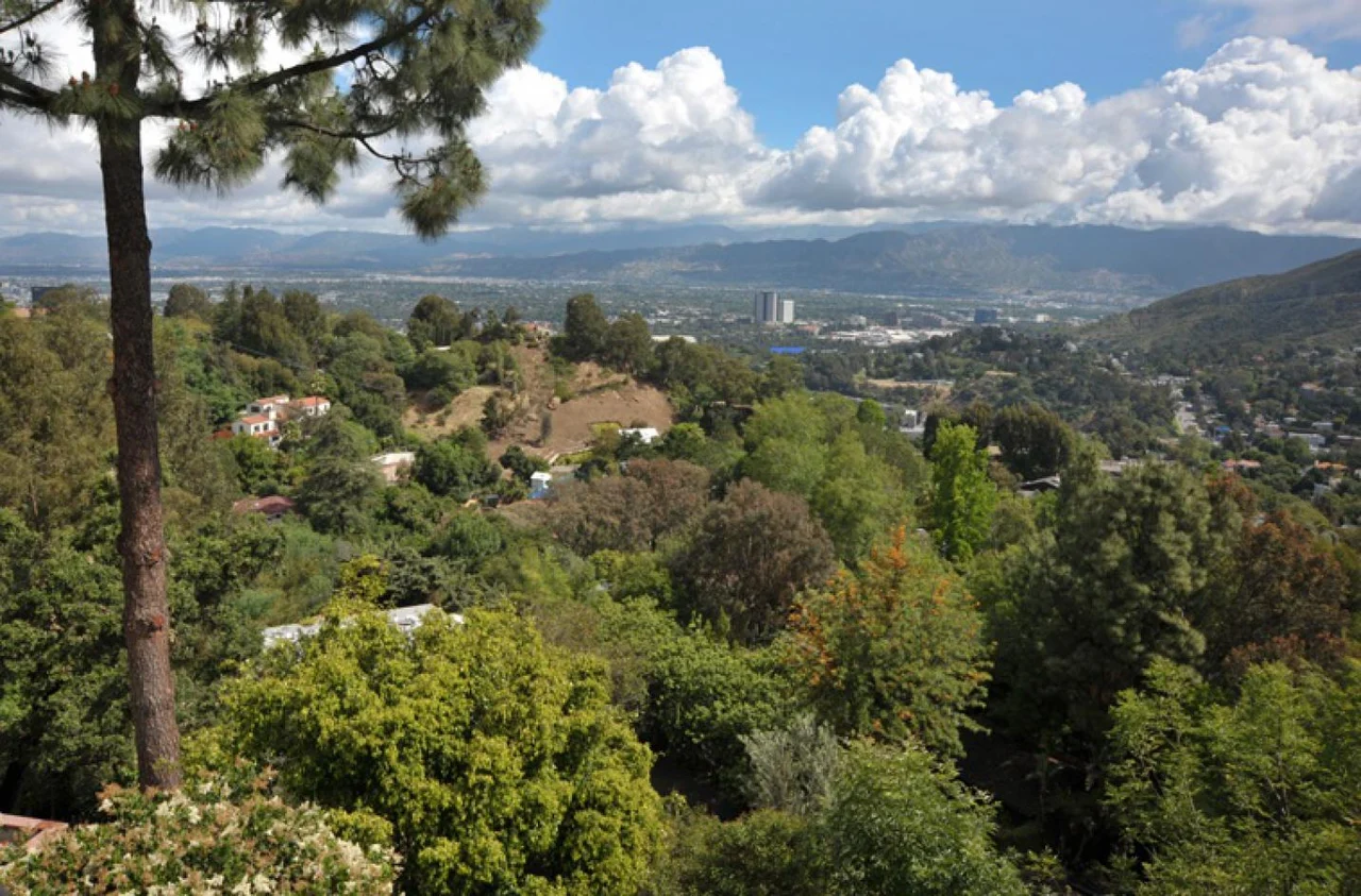 Banner Image #2