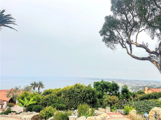 Banner Image #2