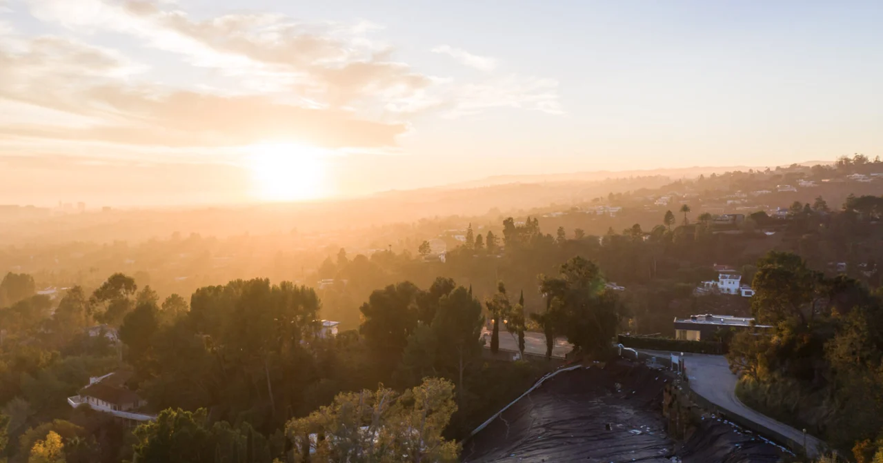 Banner Image #2