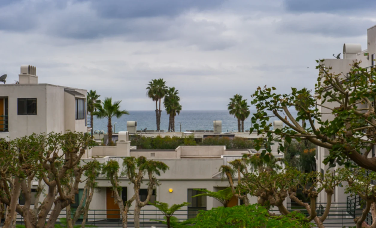 Banner Image #2
