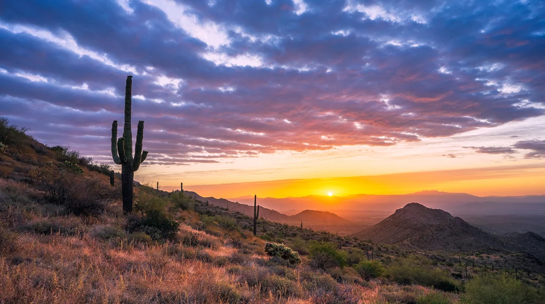 What's Happening This January in Metro Phoenix