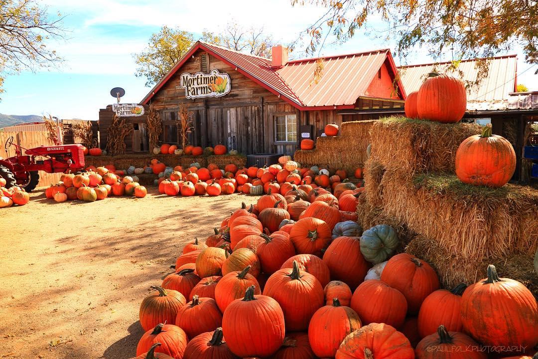 Top Fall Festivals