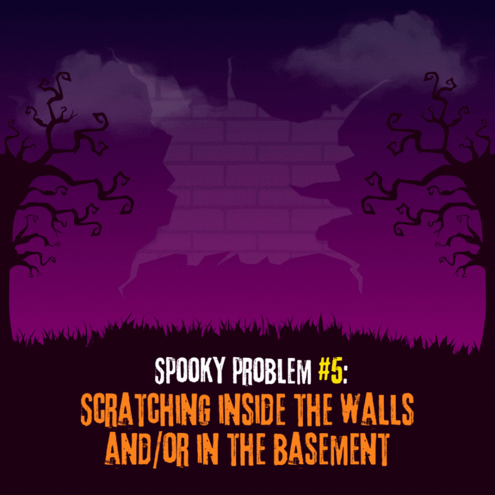 Think Your House Is Haunted? Here's What's Really Going On and How to Fix Those Spooky Problems