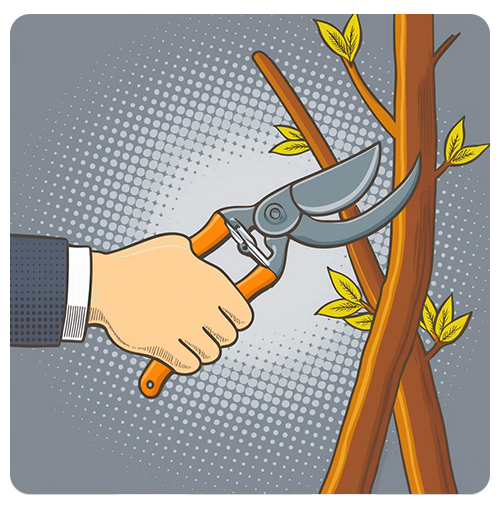 Here's Your Fall Cleanup Checklist To Prep Your Yard For Winter