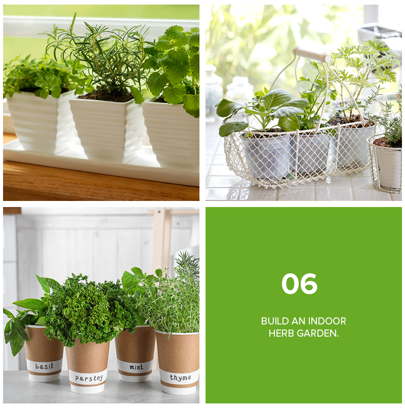 9 Refreshing Ways To Decorate Your Home With Plants