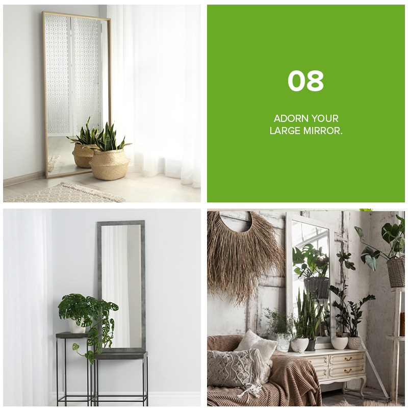 9 Refreshing Ways To Decorate Your Home With Plants