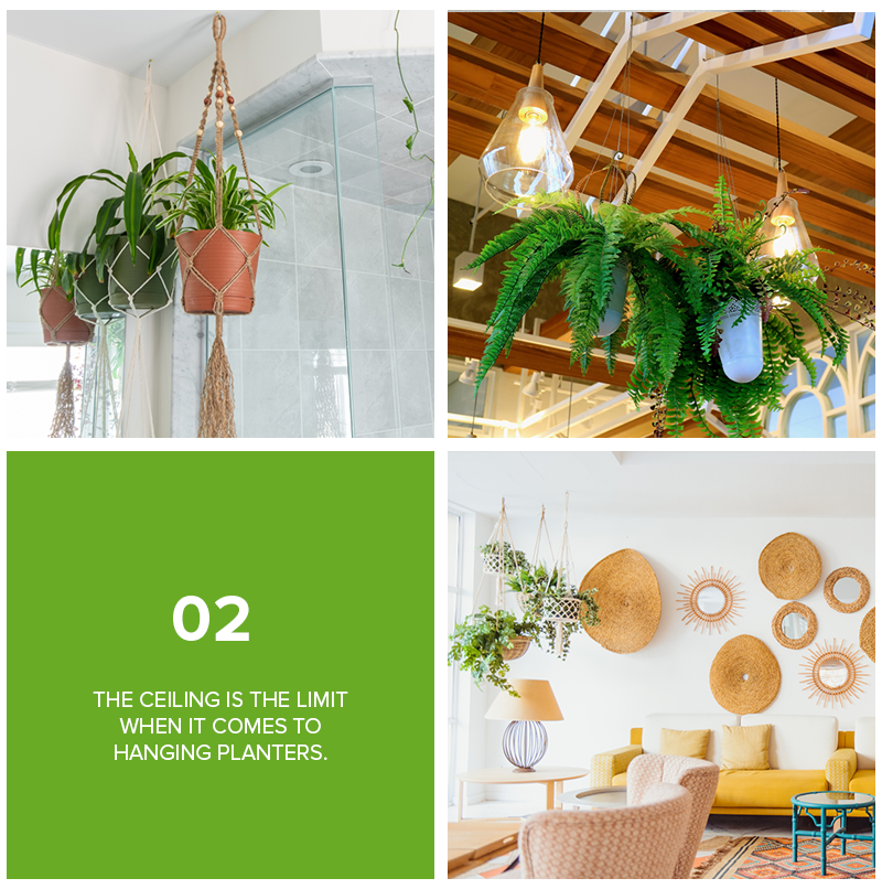 9 Refreshing Ways To Decorate Your Home With Plants