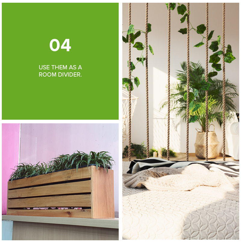 9 Refreshing Ways To Decorate Your Home With Plants