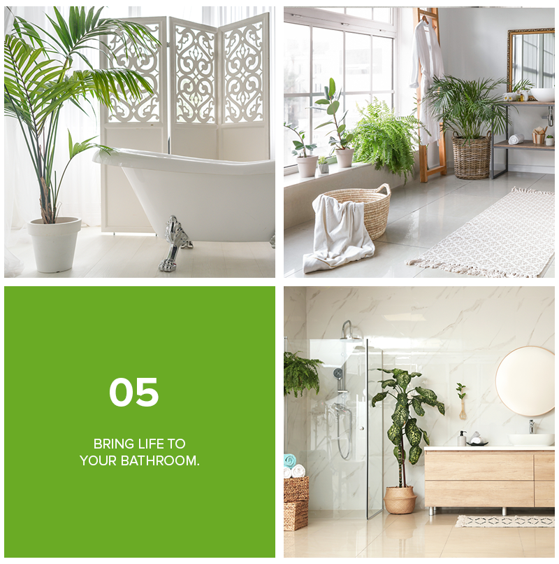 9 Refreshing Ways To Decorate Your Home With Plants