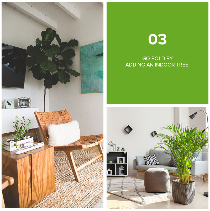 9 Refreshing Ways To Decorate Your Home With Plants