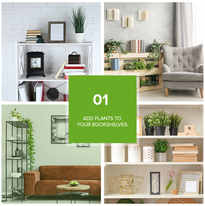 9 Refreshing Ways To Decorate Your Home With Plants