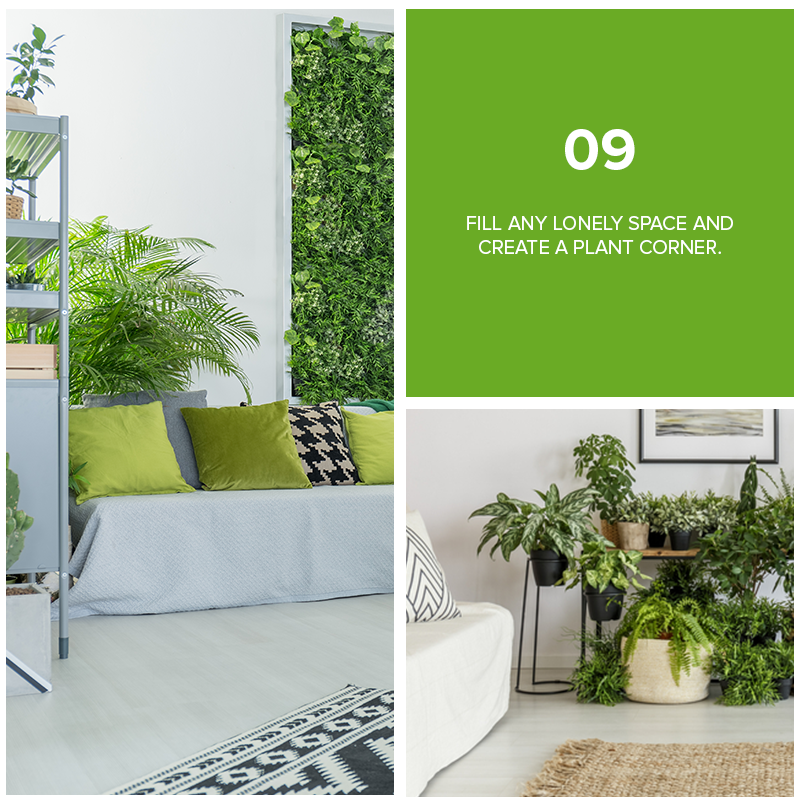 9 Refreshing Ways To Decorate Your Home With Plants