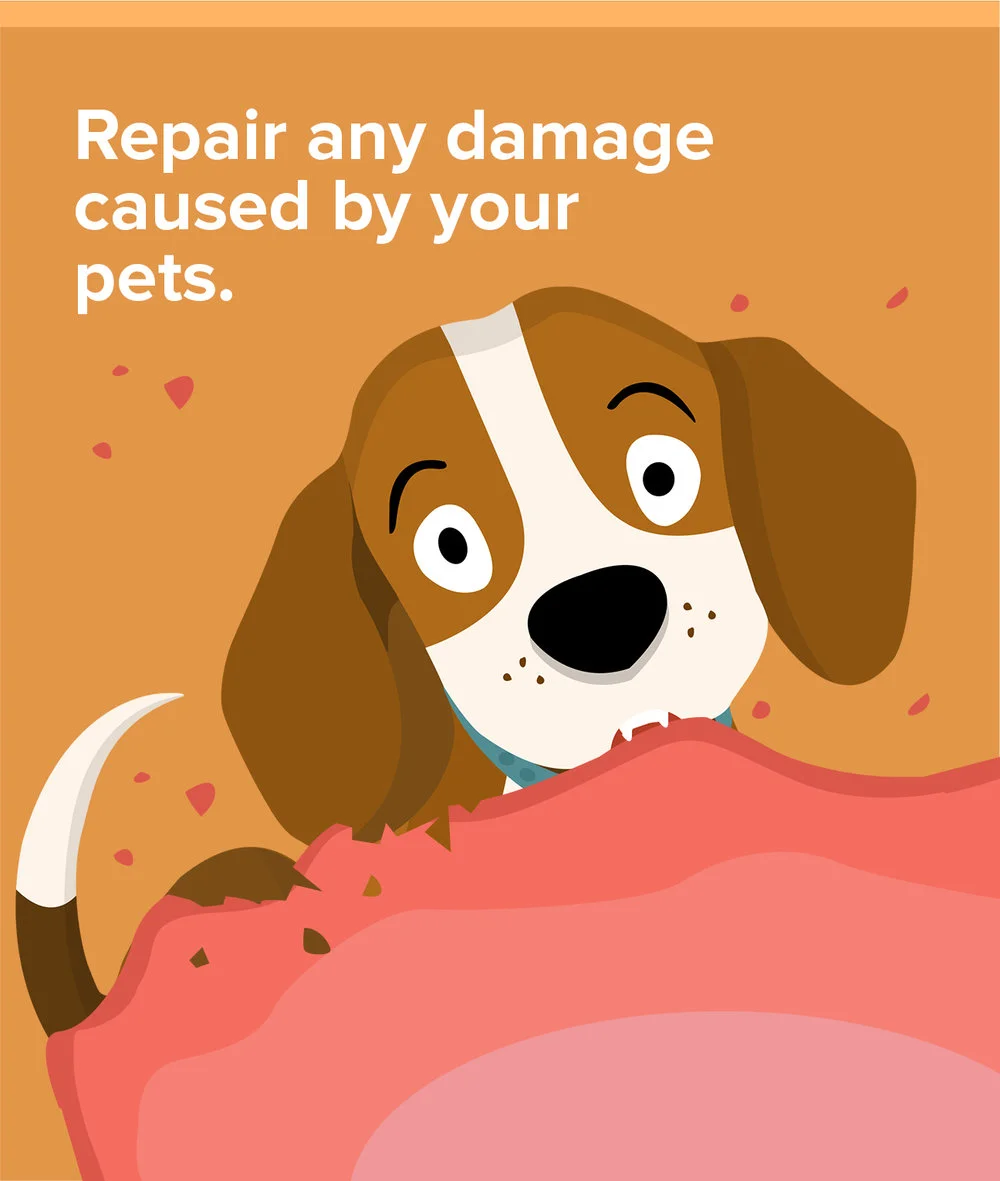 The Pet Owner's Guide To Selling A Home: 5 Things To Do To Prepare Your Property
