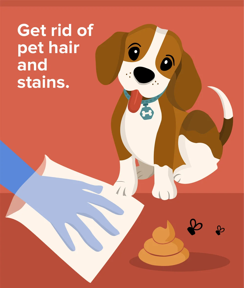 The Pet Owner's Guide To Selling A Home: 5 Things To Do To Prepare Your Property