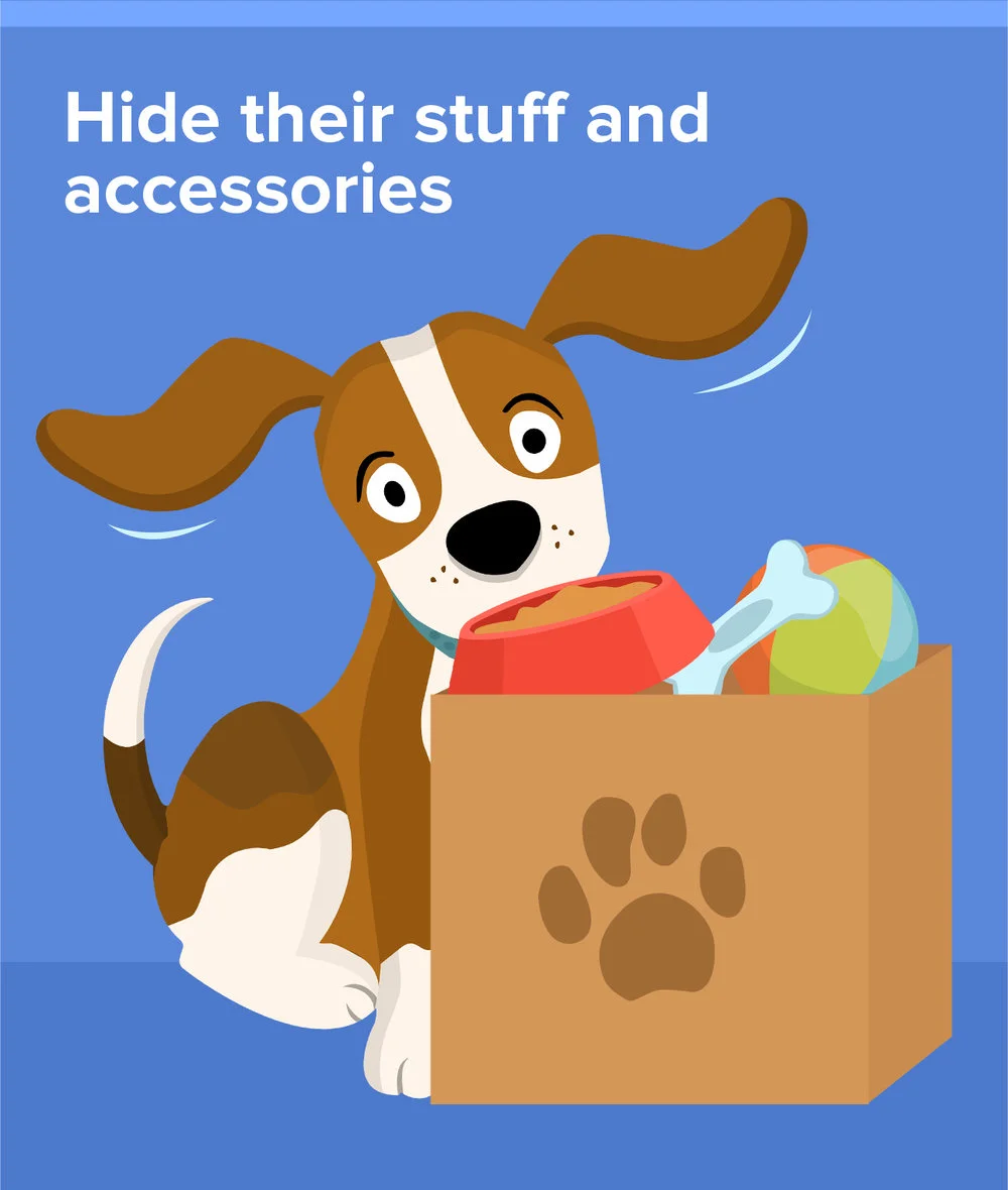 The Pet Owner's Guide To Selling A Home: 5 Things To Do To Prepare Your Property