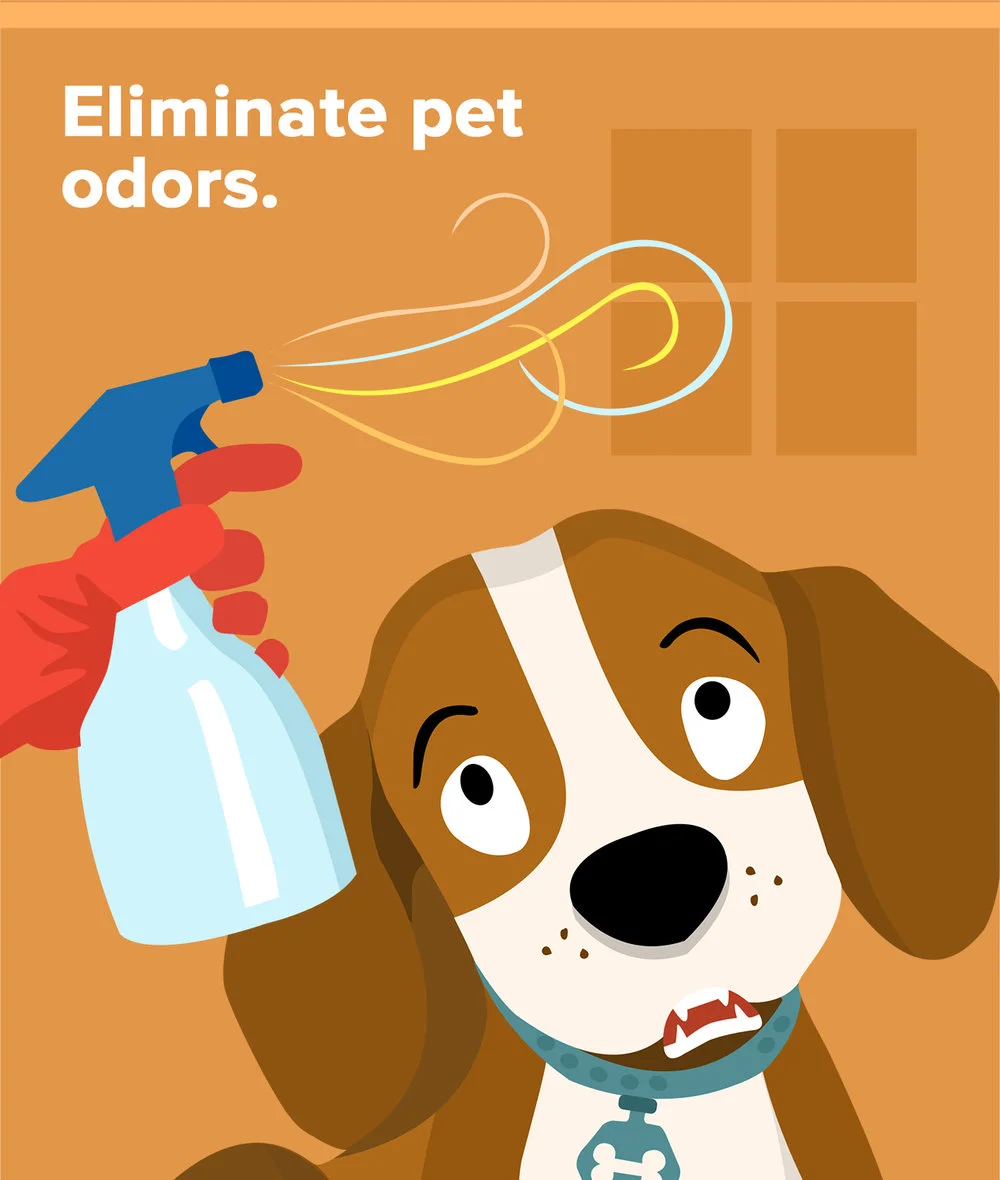 The Pet Owner's Guide To Selling A Home: 5 Things To Do To Prepare Your Property