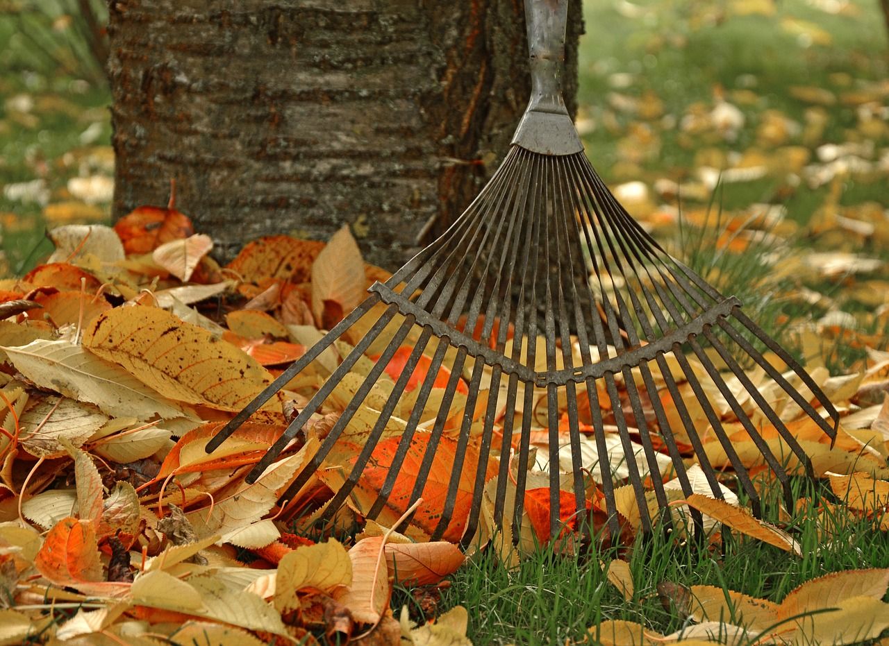 10 Ways to Make Your Fall Open House Extra-Cozy