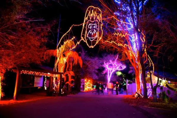 Spend the Season in Arizona: Your Guide to December Living