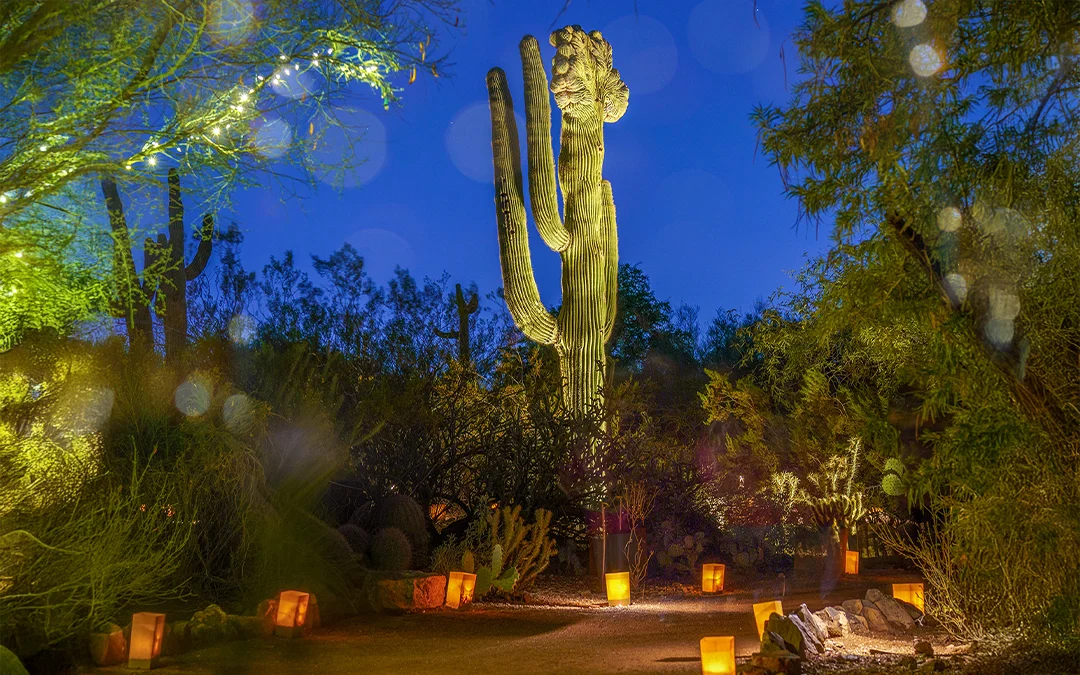 Spend the Season in Arizona: Your Guide to December Living