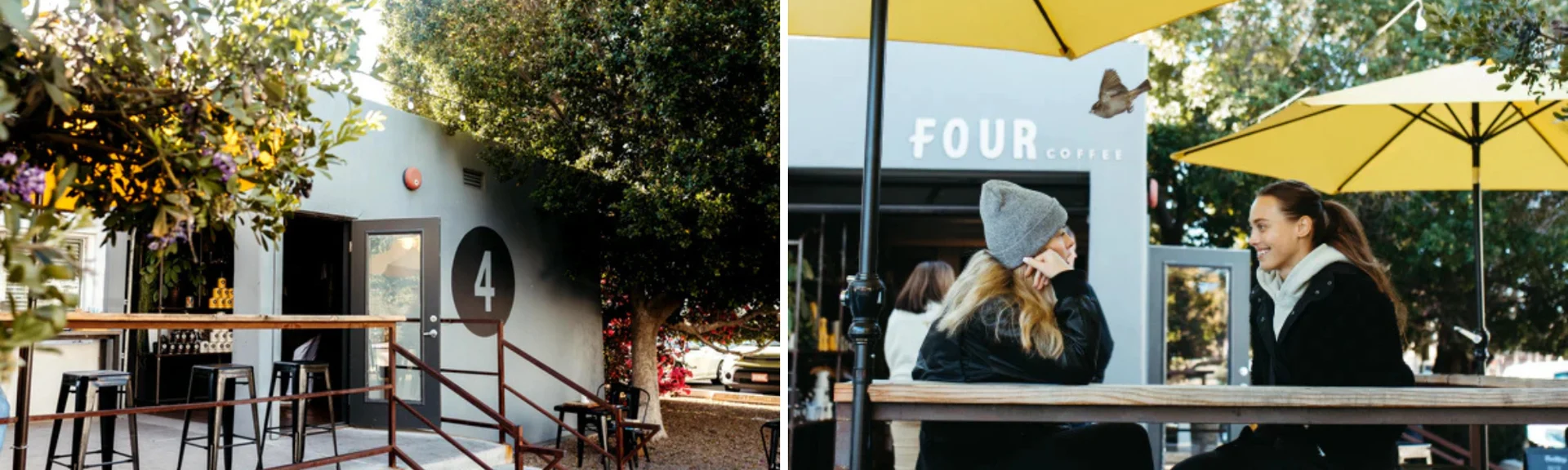 Explore Scottsdale's Hidden Gems: Discover Local Treasures