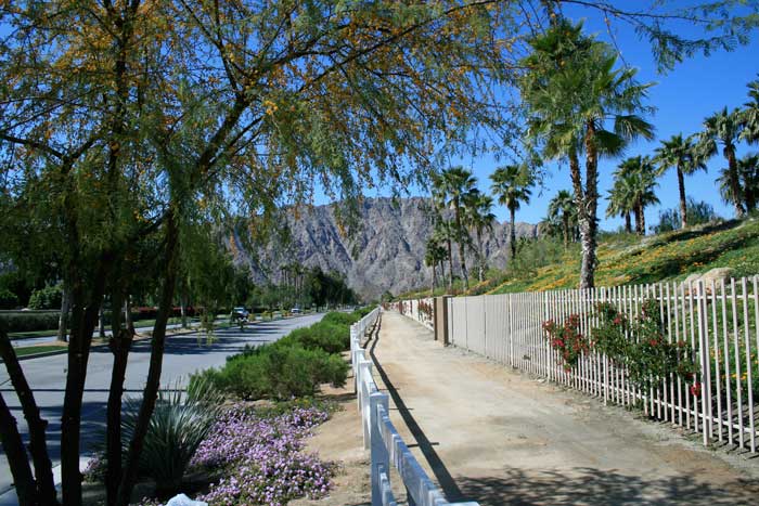 How to Prepare Your Phoenix Home for the Spring Real Estate Market (2026 Guide)