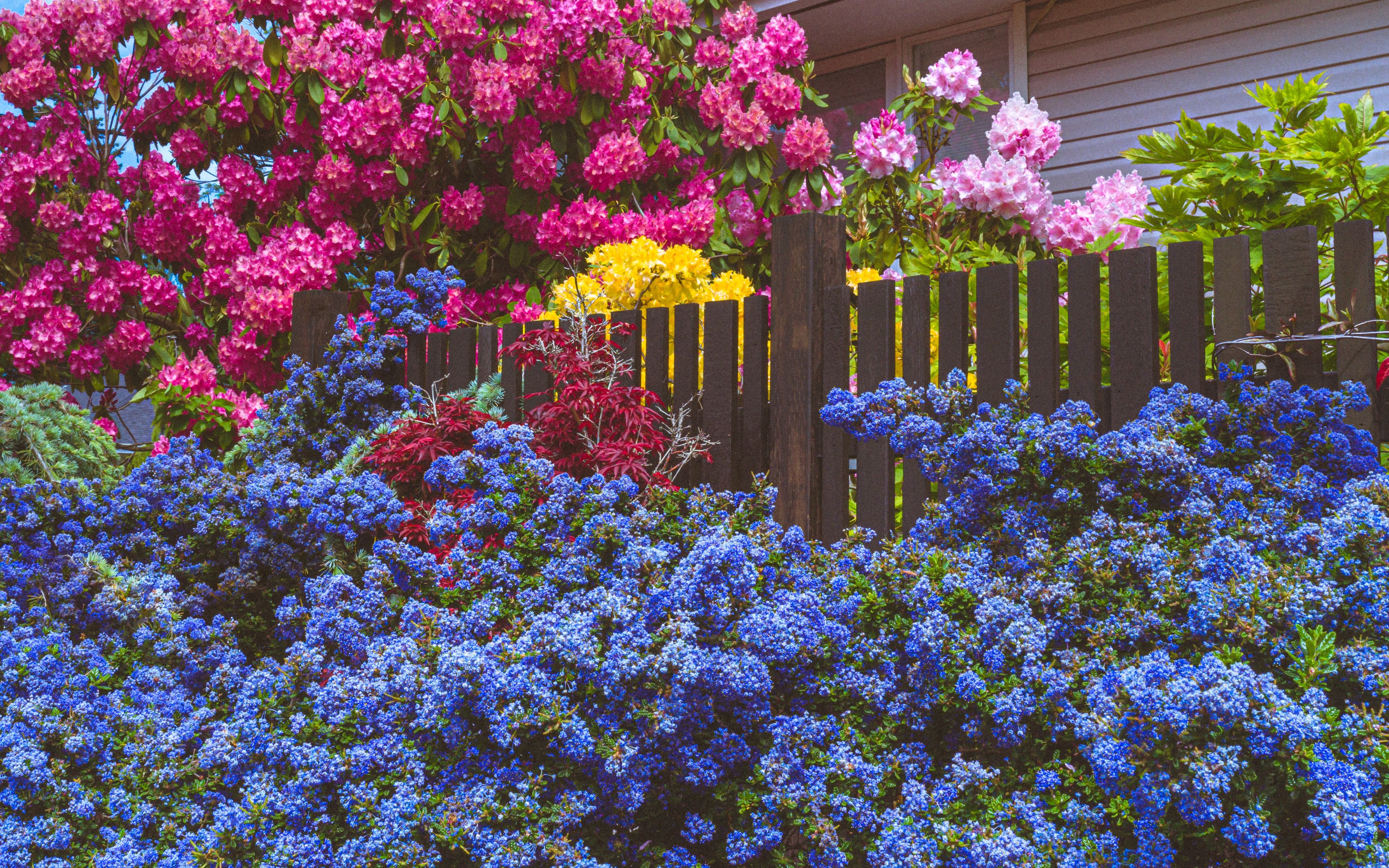 New Construction vs. Existing Home: Which One is For You?