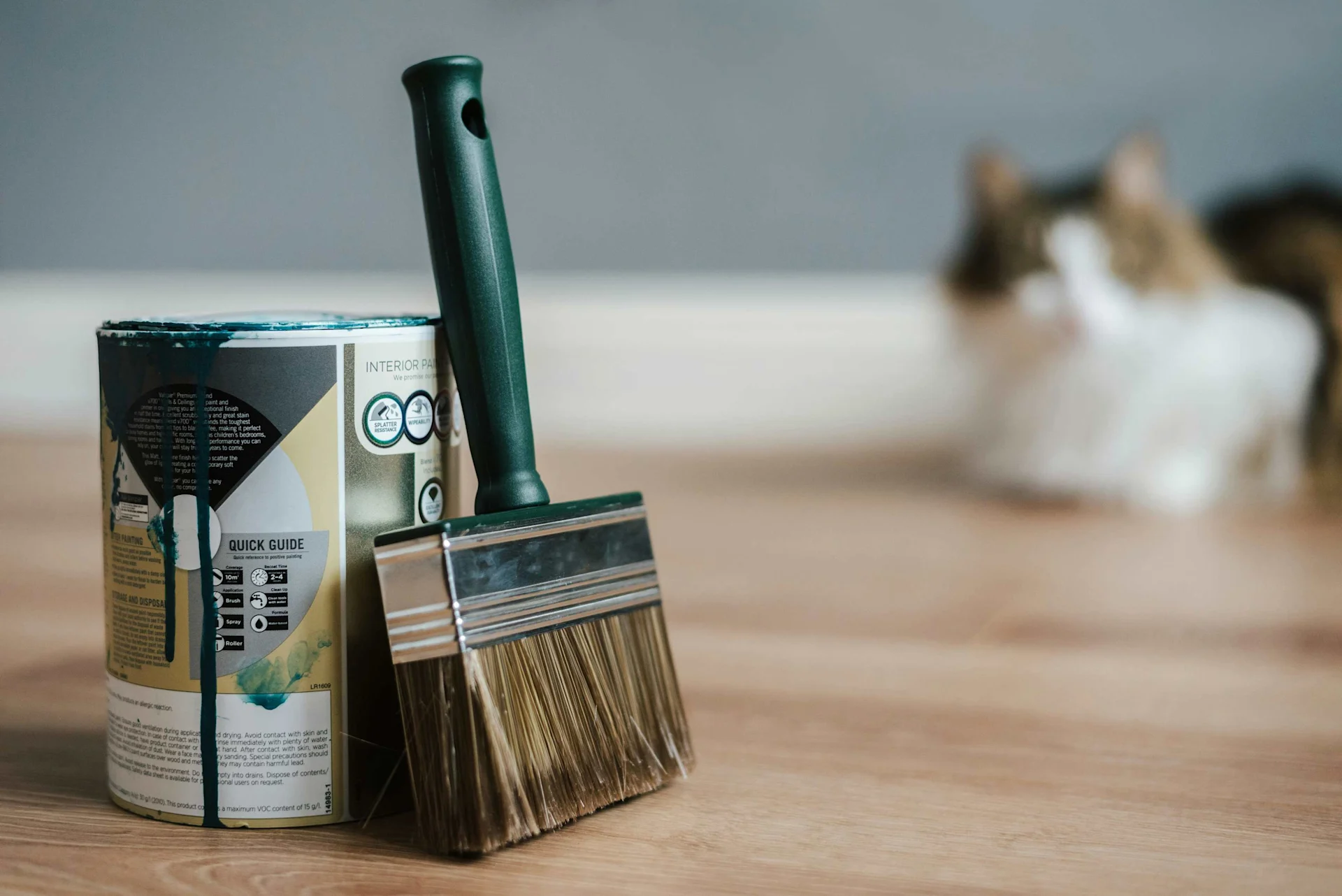 Home Renovation Trends to Watch in 2024: What You Need to Know Before You Start