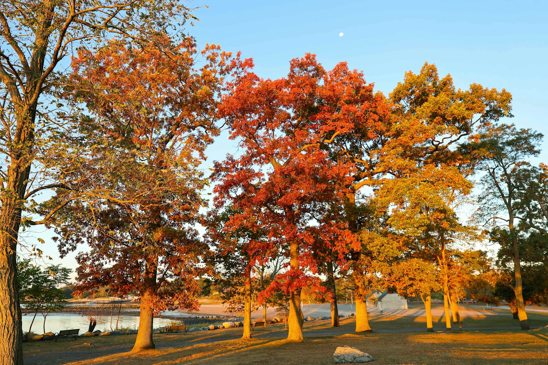 Why Fall is the Perfect Time to Sell Your Scottsdale Home