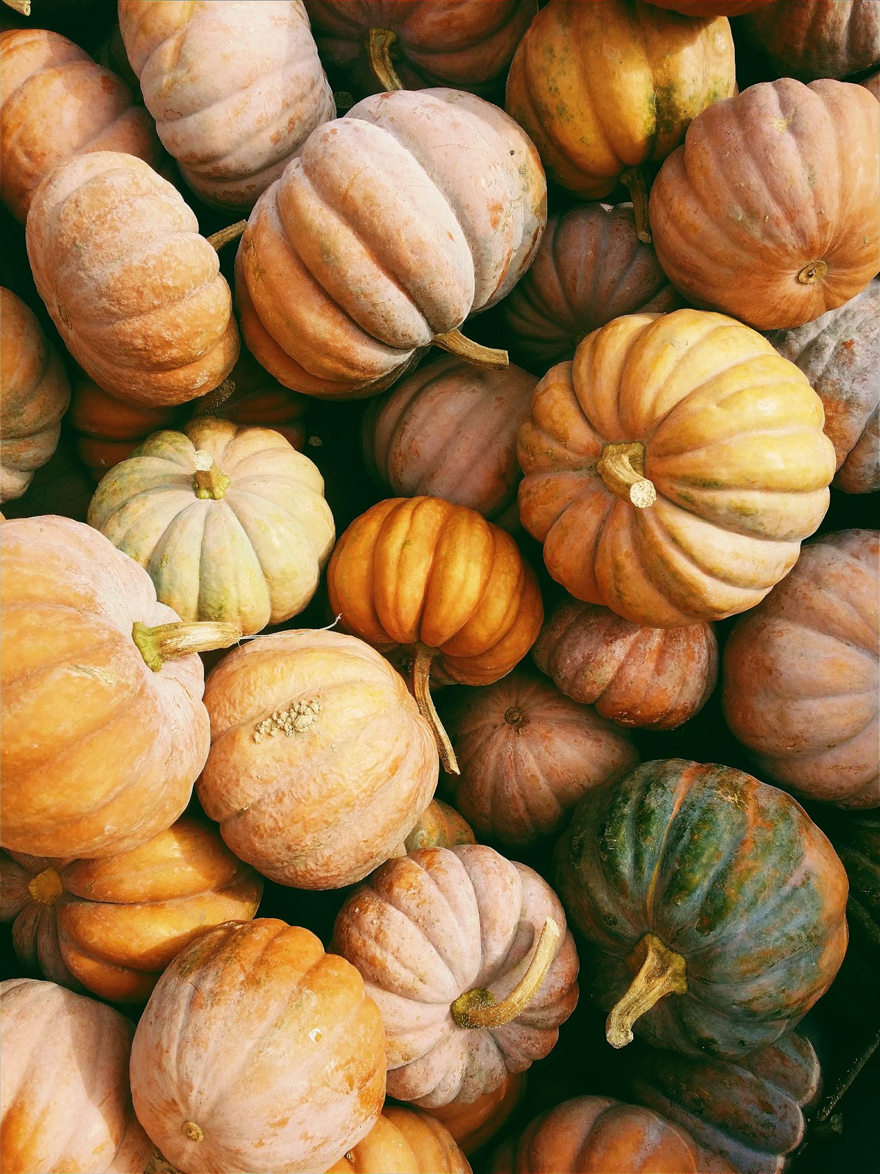 Fall in Scottsdale: A Guide to Upcoming Events and Real Estate Opportunities