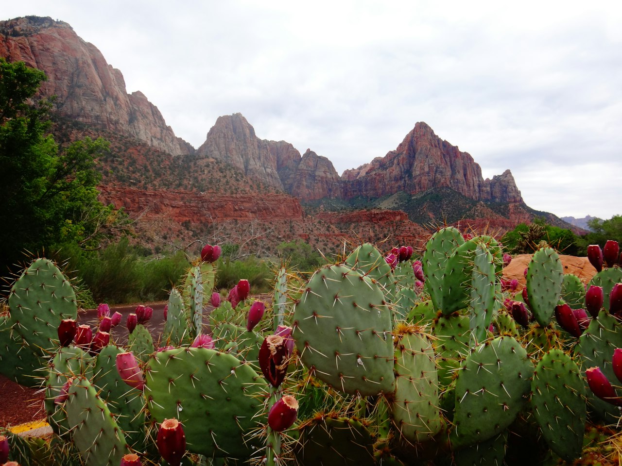 Navigating Scottsdale's Real Estate Market: A Comprehensive Buyer's Guide