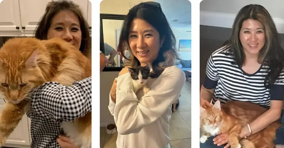 Why Are Cats Scared of Cucumbers and Why We Love Them Anyway